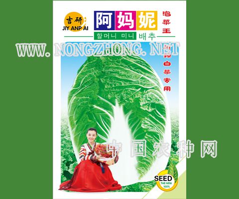 阿妈妮